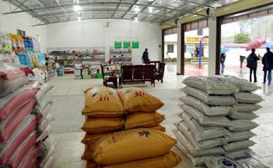 深耕縣域，掘金農(nóng)資 化肥農(nóng)藥種子縣級代理經(jīng)銷商的機(jī)遇與挑戰(zhàn)分析