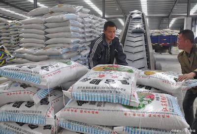 從化肥大國到有機農業強國 中國農業可持續發展的轉型之路